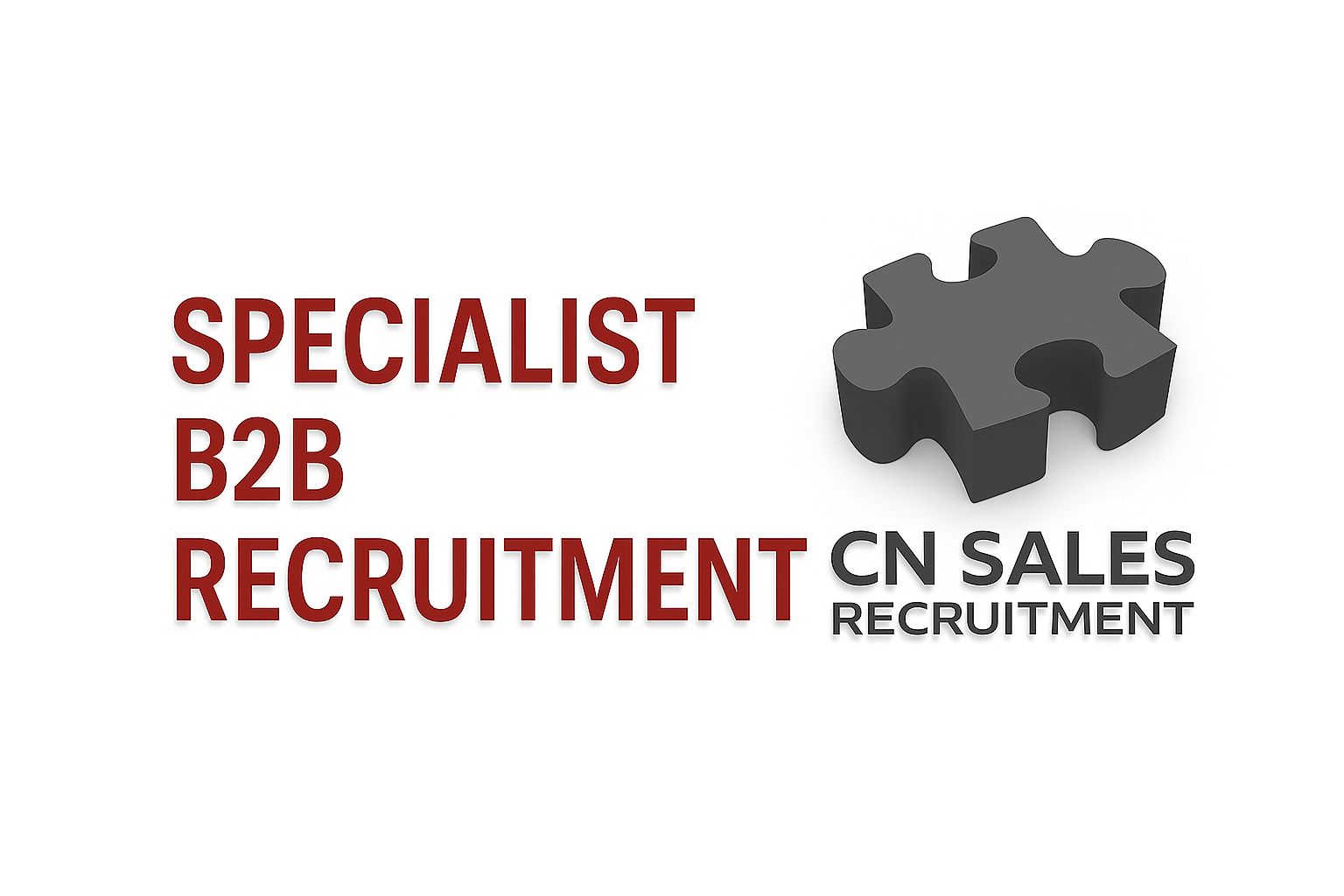 CN Sales Recruitment Ltd. logo